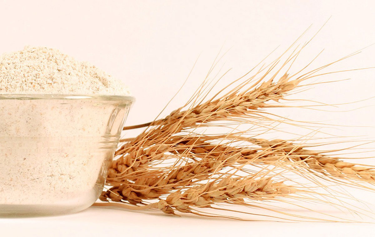 نشاسته در صنایع دارویی: کاربردها و مزایا