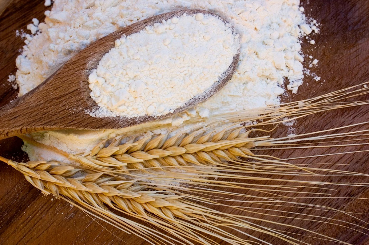 نشاسته: از مزرعه تا کارخانه، یک سفر کامل