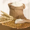 5 اشتباه رایج در استفاده از نشاسته صنعتی گندم