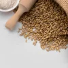 چگونه با تنظیم نسبت آب به نشاسته، بازده تولید و مصرف انرژی را بهینه کنیم؟
